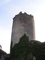 Jasseron, chateau medieval (10)